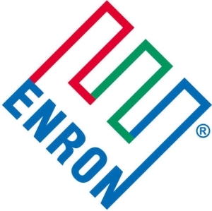 The Enron story